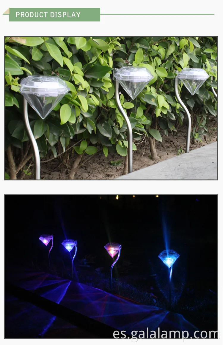 Vibrantes luces LED impermeables con energía solar para decoración del jardín